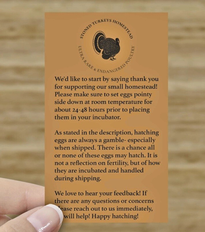 6 Sweetgrass/Black Spanish Turkey Eggs eBay