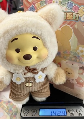 Miniso Winnie The Pooh Plush Vinyl Blind Box Figure Confirmed Character NEW