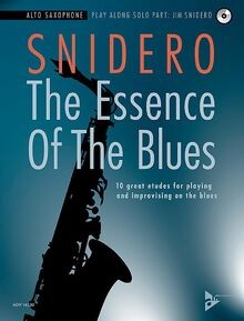 The Essence Of The Blues: 10 great etudes for playi... | Buch | Zustand sehr gut