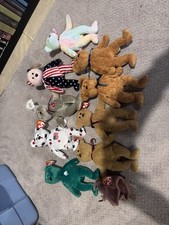Ty Beany Babies Lot Spangle Glory 1999 Signature Bear Might Be Rare Erin Retired