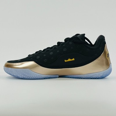 Nike Lebron 23 'The Chosen One And The One Who Chose' IF0694-001