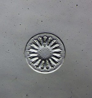 Antique microscope slide by Fred Marshall. Diatom. Asterolampra from Barbadoes.