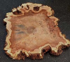 Mappa burl  cookie cut  live edge  DIY  river table  p23-1017