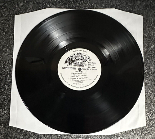 VERY RARE VINYL LP TECHNIQUE YOU AND 1 GUARDIAN RECORDS N TAPES GRT A11 1978 VG+ - Picture 7 of 10