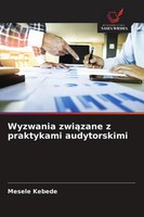 Mesele Kebede | Wyzwania Zwi¿Zane Z Praktykami Audytorskimi | Taschenbuch (2026)