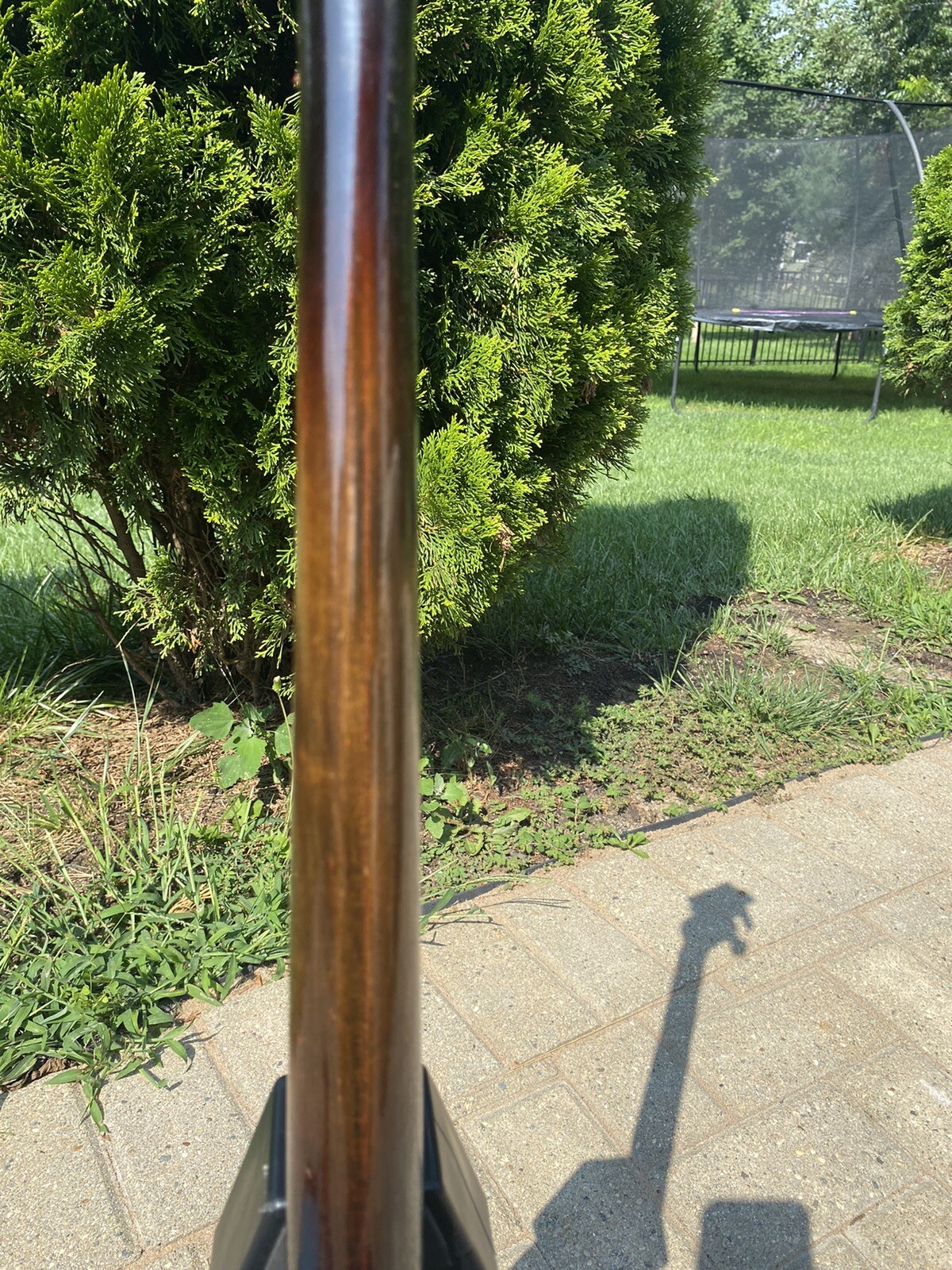 Picture 10 of 24