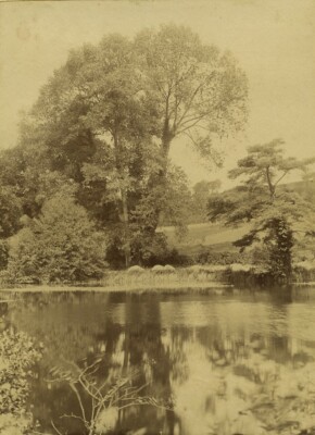 France Countryside around Etretat old Photo 1890