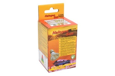 Lucky Reptile Halogen Sun