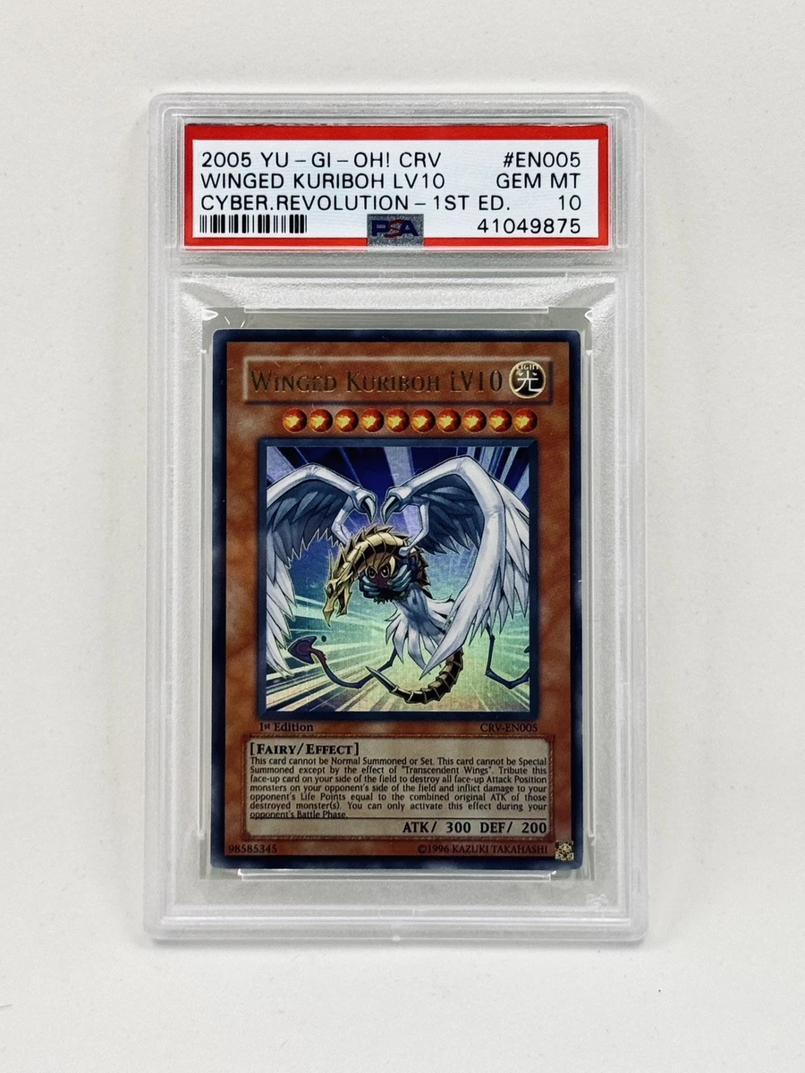 Winged Kuriboh Yu-Gi-Oh! TCG Professional Sports Authenticator