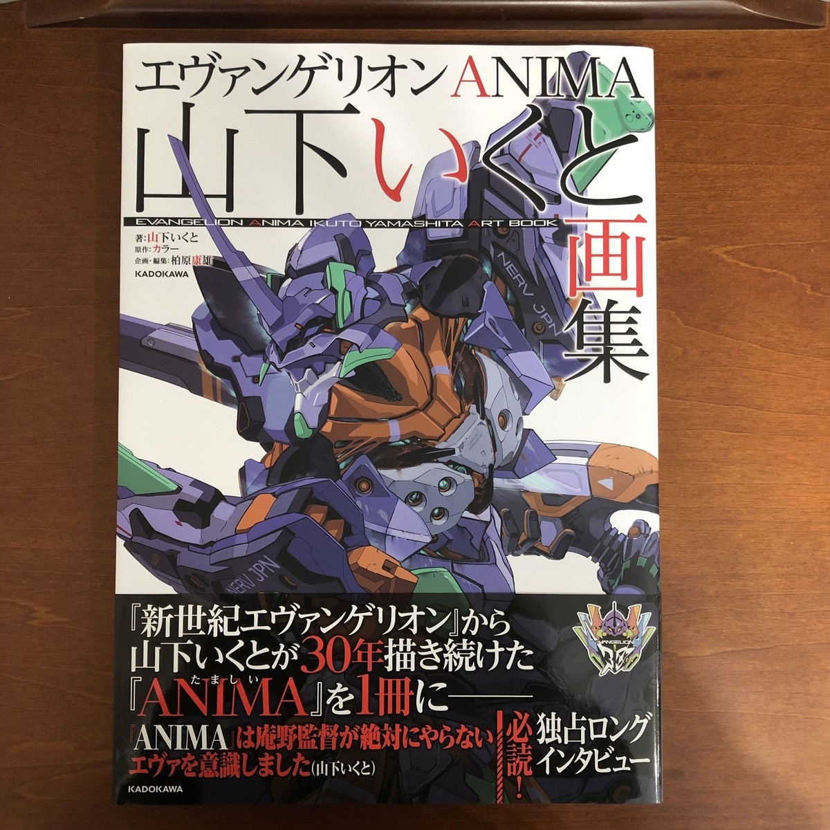 Evangelion ANIMA Yamashita Ikuto Art Collection Yamashita Art Book