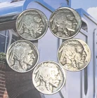 BUFFALO INDIAN Head Nickel FULL DATES  All Different  3 Mints  3 Years  Lot of 5