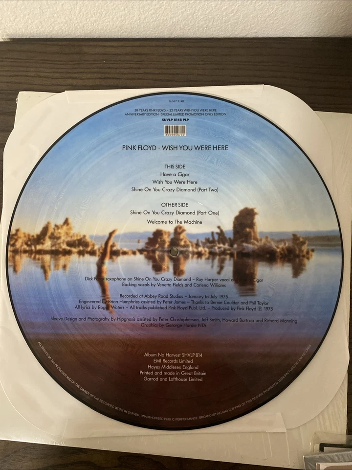 Pink Floyd Wish You Were Here Picture Disc Vinyl - Image 2 of 4
