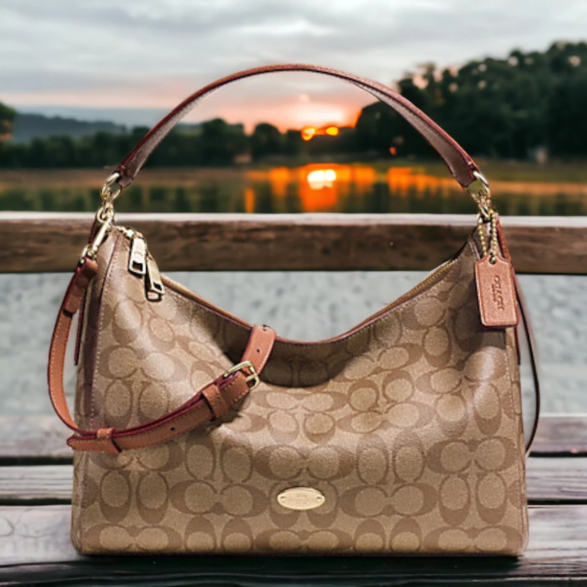 Coach celeste shop hobo bag