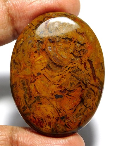 100 % natürlicher erstaunlicher Fruchtjaspis oval Cabochon loser Edelstein 45 x 33 x 6 mm 78,40 kt - Bild 3 von 8