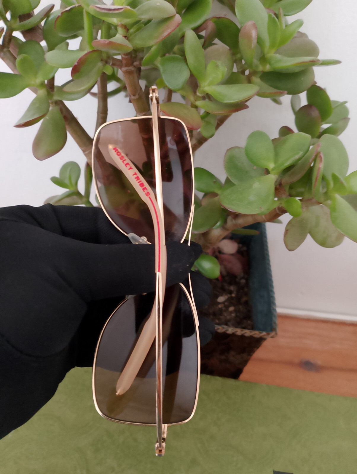 Mosley Tribes Vindicator G Gold Frames Only. - image 4