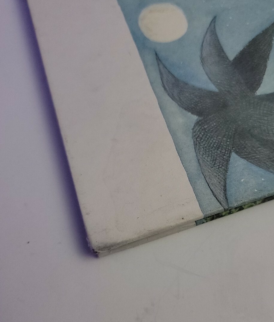 Picture 4 of 7