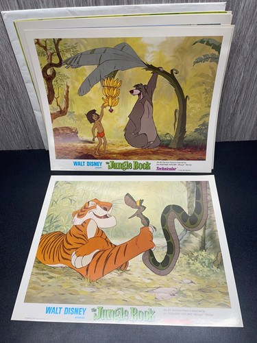 1978 The Jungle Book Press Kit set of 14x11 Photos in envelope - Picture 7 of 7