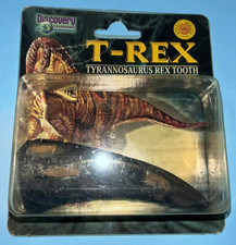 1999 Discovery Channel T-REX Tyrannosaurus Rex Fossil Replica Tooth Measures 4in