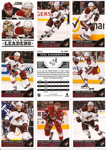 2013-14 Panini Score Phoenix Coyotes Complete Team Set (19)