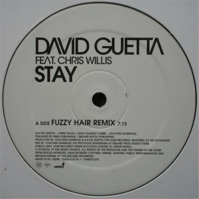 David Guetta Feat. Chris Willis - Stay 12'' Vinyl Maxisingle PROMO FRA