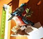 Bild 8 von 9