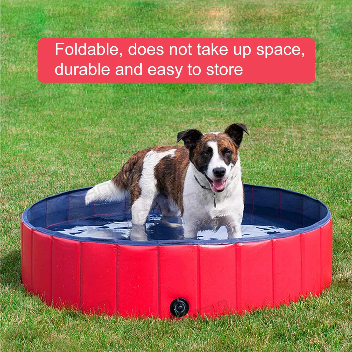 Portable bathtub hot sale for dogs