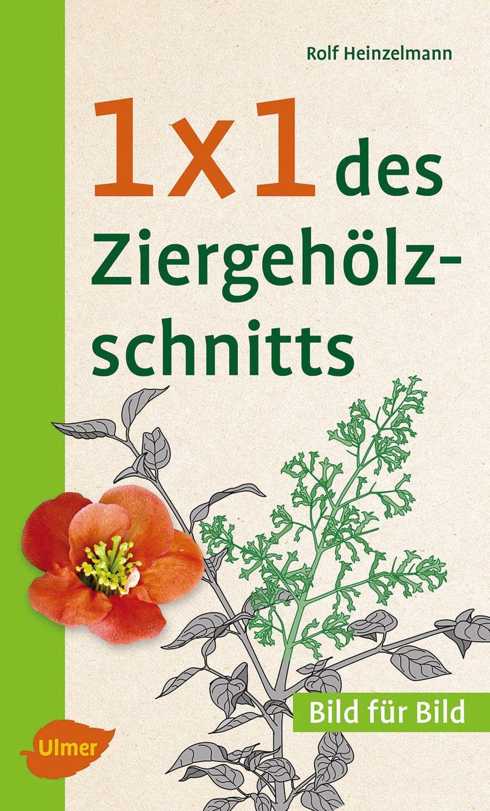 Thumbnail - 1 X 1 Des Ziergehölzschnitts | Bild Für Bild | Rolf Heinzelmann |