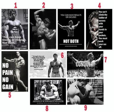 Custom Arnold Schwarzenegger Fitness, Motivational Gym Poster