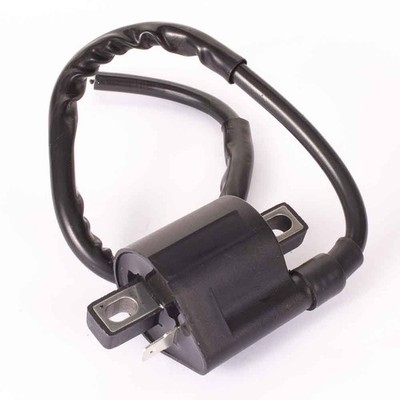 Geiwiz Zündspule - 1 Pin