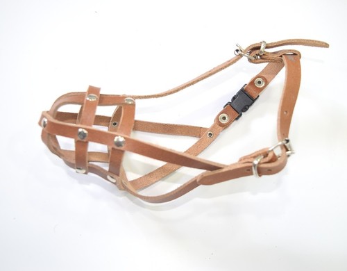 Light leather Dog Muzzle Champion for Dachshund & Other (J1 & J2) - Picture 4 of 4