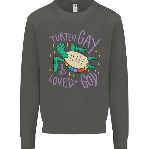 LGBT Turtle Loved By God Gay Pride Kids Sweatshirt Jumper - Picture 77 of 97