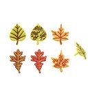 Thanksgiving Picks| Fall Leaves Cupcake Picks - 24 Assorted Pcs (dp17415)