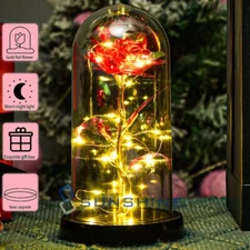 Forever Eternal Galaxy Rose Flower In Glass Dome LED Light Romantic Gift for Her