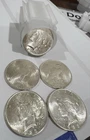 Silver PEACE DOLLARS 1923 GEM BU ROLL. OF 20 FREE SHIPPING !