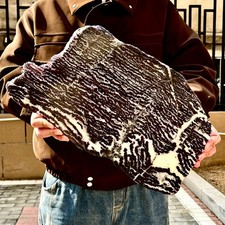 3.94LB Natural of Zebra Stone and Fluorite Coexistence Slice quartz crystal