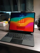 iPad Pro M2 256 GB Wifi + Cellular & Keyboard