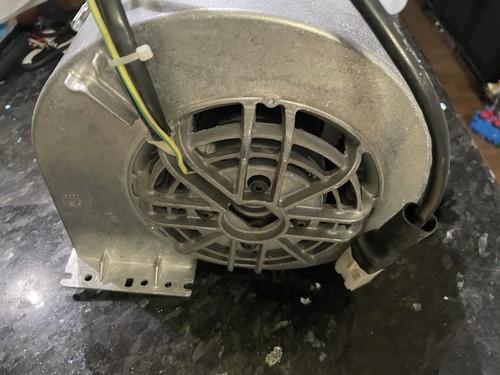 Wolf 814784 600 CFM Interior SINGLE Hood Blower Tested - 第 3/8 張圖片