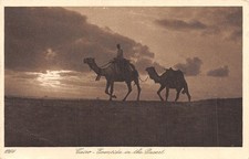 EGYPTE LE CAIRE EVENTIDE IN THE DESERT
