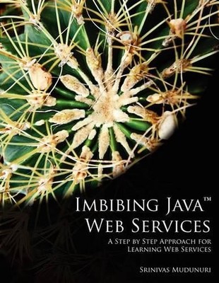 Srinivas Mudunuri Imbibing Java Web Services (Taschenbuch)