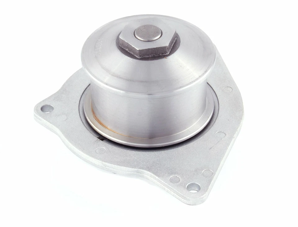 Bomba de agua (estándar) para motor de gas Eagle Vision 1995-1997 puertas 1996 1997 Foto 2 de 3