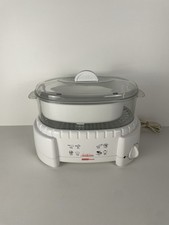 Sunbeam Instant Steam Electric Steamer Model ...
