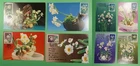DR WHO CHINA PRC 8 FDC MAXIMUM CARD FLOWER ART R63879