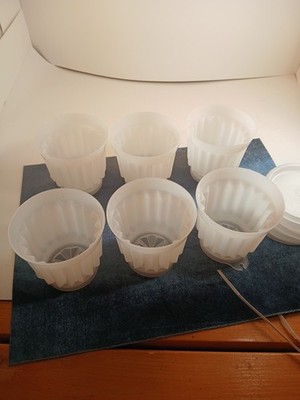 Tupperware Jel-ette Mold For Desserts Oe Parfaits Set Of 6