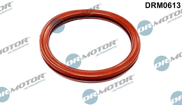 Dr.Motor Automotive Dichtung, Drosselklappenstutzen U.A. FüR Dacia, Renault-image