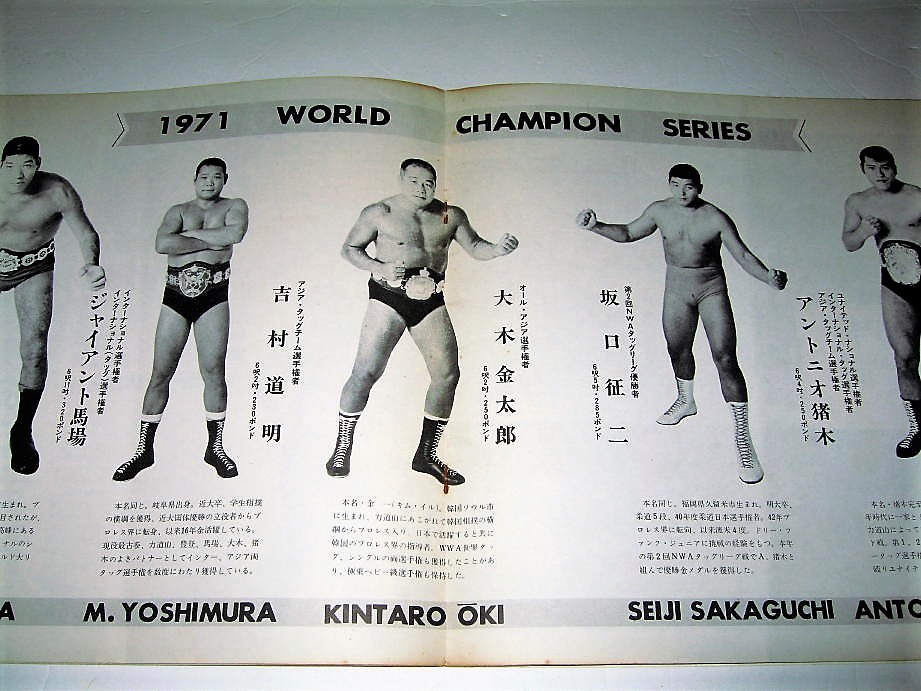 71年ワールドチャンピオンシリーズ パンフレット 71年ワールドチャンピオンシリーズ パンフレット