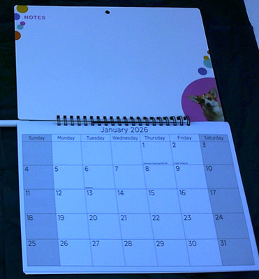 2026 Spiro Memoboard Wandkalender Organizer beschreibbar abwischbar, Design; HUND