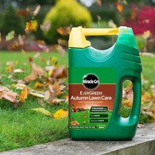 EverGreen Autumn Lawn Care Food & Moss Control Spreader, 80 m2 - Natural