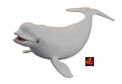 CollectA Beluga Whale Sealife Toy Model Figure 88568 Brand New