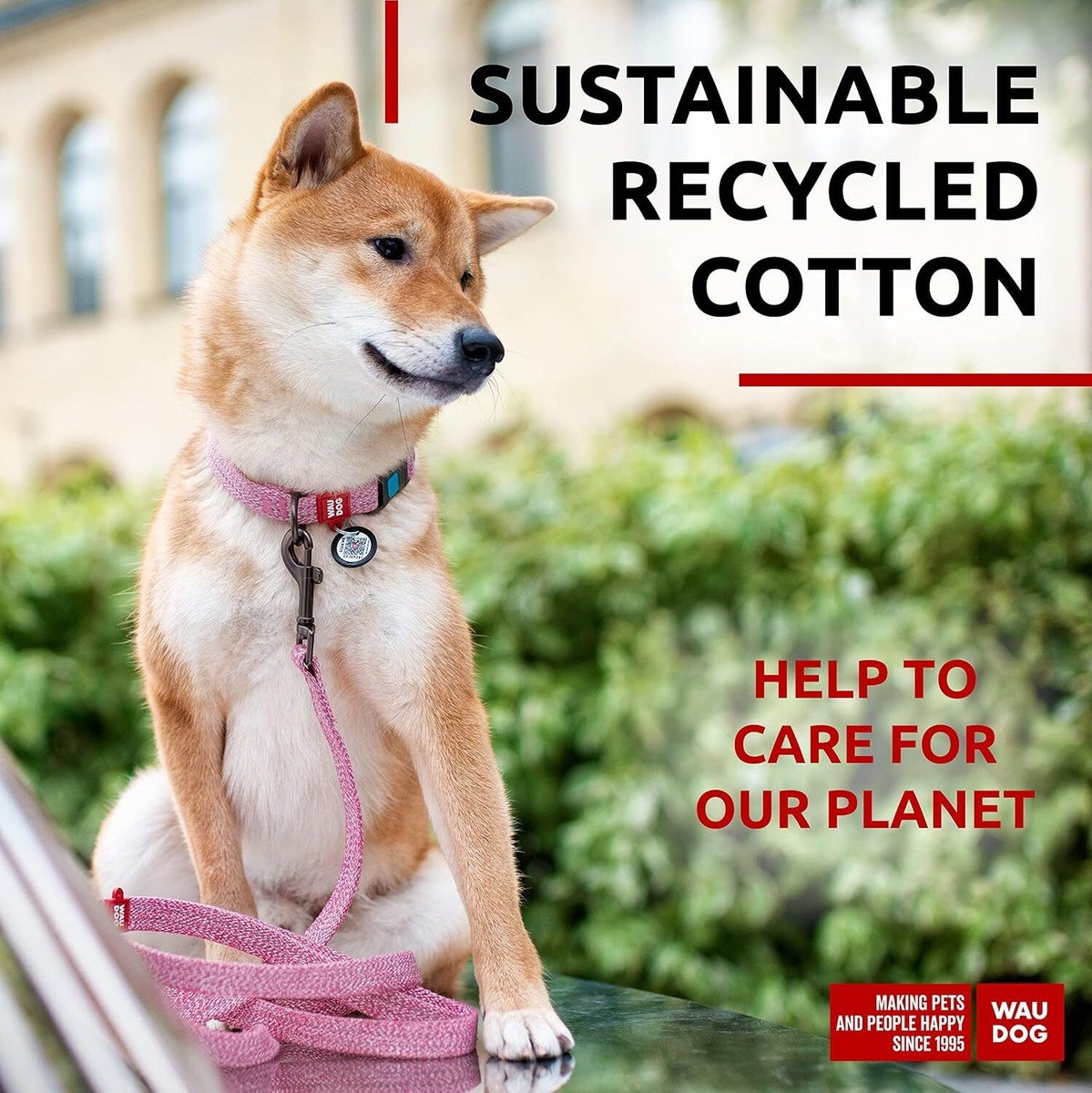 Recycled Cotton Dog Leash Eco-Friendly Alt to Nylon Collar for