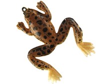 Creme Livin' Frog